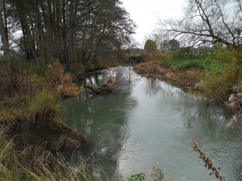 Difficult fishing on the Lugg at Eyton